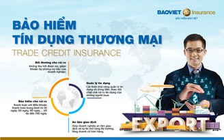 Bảo hiểm Bảo Việt và VCCI tổ chức hội thảo quản lý rủi ro tín dụng