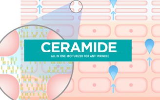 Tìm hiểu vai trò Ceramide trong dưỡng da