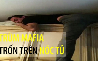Trùm mafia trốn trên nóc tủ