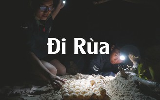 Đội "hộ sinh" rùa biển độc đáo nhất Việt Nam