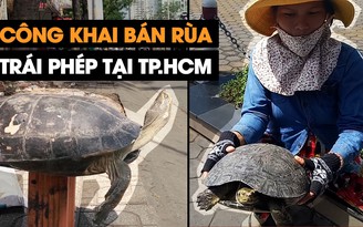 Rùa nguy cấp quý hiếm bán tràn lan trái phép trên vỉa hè TP.HCM