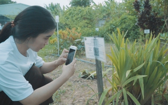 Vườn thuốc nam online: Thích thú dự án bảo tồn thuốc nam của người trẻ An Giang