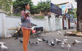 "Người bí ẩn' cho bồ câu ăn ở Nhà thờ Đức Bà Sài Gòn hàng chục năm