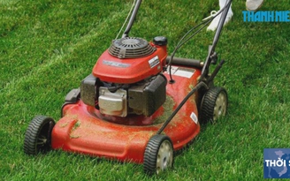Ngưng cắt cỏ ở Hà Nội, ngân sách tiết kiệm 700 tỉ đồng