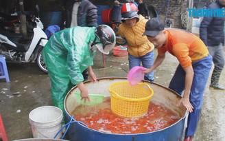 Nhộn nhịp chợ cá lớn nhất Hà Nội ngày ông Táo về trời