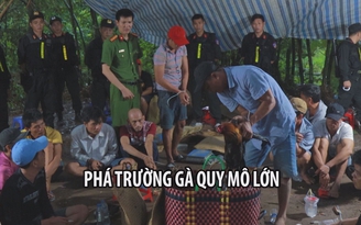 Phá trường gà quy mô lớn ở Vĩnh Long