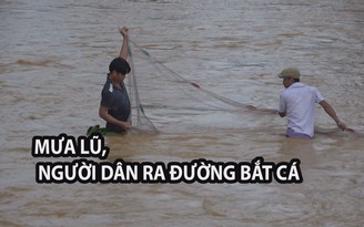 Mưa lũ, người dân Nam Cát Tiên đổ ra đường bắt cá “khủng”