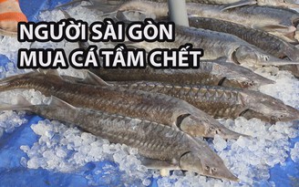 Cô gái Sài Gòn nghỉ việc kế toán, phụ bán cá chết vì lũ lụt ở Lâm Đồng