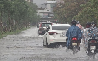 Thừa Thiên-Huế mưa trắng trời, nước dâng nhanh, cây xanh ngã đổ