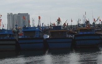 Ngư dân Đà Nẵng tất tả bốc hải sản, gia cố tàu thuyền "chạy" bão Noru