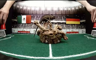 Tắc kè hoa tiên đoán đương kim vô địch Đức bại trận trước Mexico