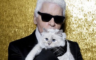 Con mèo Miến Điện thừa kế 200 triệu USD của 'ông hoàng Chanel'?