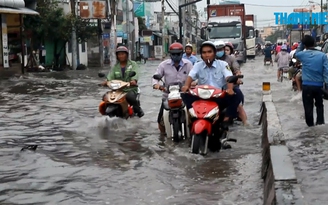 Triều cường dâng cao, công nhân khổ sở lội nước đi làm