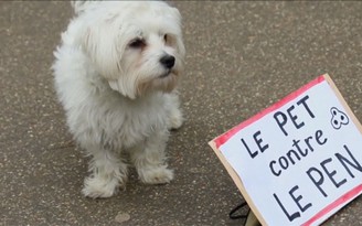 Chó cũng tham gia biểu tình trước thềm bầu cử Pháp