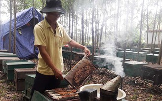 Công an xã ở Hà Tĩnh 'đè' dân nuôi ong ra thu phí