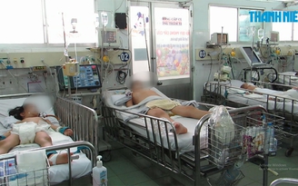 Cẩn thận, đã đến mùa phát triển của bệnh viêm não Nhật Bản