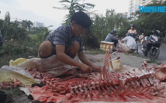 Chợ tạm mọc lên giữa Hà Nội, người dân thản nhiên mổ bò trên phố