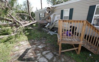 60% nhà dân ở Florida mất điện vì bão Irma