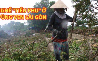 Nghề tiều phu tại vùng ven Sài Gòn