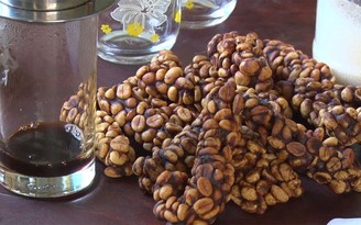 Thanh niên kiếm hơn nửa tỉ đồng mỗi năm từ cà phê chồn