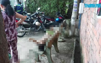 Buồn chuyện gia đình, bỏ nhà đi lang thang rồi chết trên ghế đá