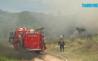 Gom cây khô để đốt, cháy gần 1.000 mét vuông trên bán đảo Sơn Trà