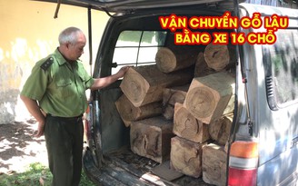 Tây Ninh điều tra vụ vận chuyển gỗ lậu bằng xe 16 chỗ.