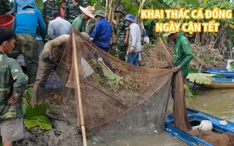 Mùa khai thác cá đồng ngày cận Tết ở U Minh Hạ