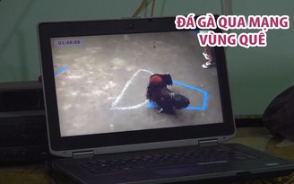 Phát hiện 11 người đàn ông vây quanh chiếc laptop xem... gà đánh nhau