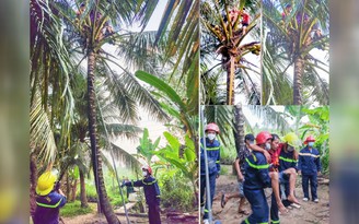 Giải cứu người đàn ông lên cơn co giật trên ngọn dừa cao 8m ở Vĩnh Long