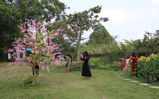 Sợ tết đông người, du khách đến làng hoa Sa Đéc chụp ảnh, chiêm ngưỡng hoa sớm
