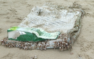 Vụ ma túy trôi dạt vào bờ biển Đà Nẵng: phát hiện 8kg ma túy đá