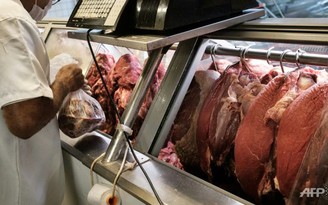Ba thị trường chính nối lại nhập khẩu thịt Brazil