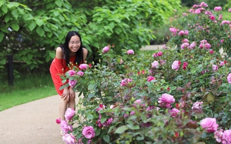 'Con phải học ở Cambridge' và cái kết hơn cả mong đợi của cô gái Việt