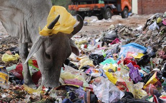 Thủ tướng Ấn Độ quyết dẹp sản phẩm nhựa dùng một lần