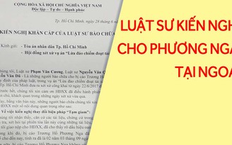 Vụ hoa hậu Phương Nga: Luật sư kiến nghị cho Phương Nga tại ngoại