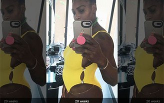 Serena Williams xác nhận mang thai con đầu lòng