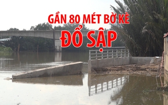 Gần 80 mét bờ kè chống sạt lở ở Nhà Bè bất ngờ đổ sập giữa đêm