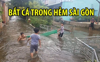 Trẻ em mang lưới ra đường bắt cá trong hẻm Sài Gòn ngập dài ngày