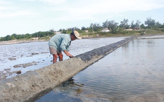 Thủ phủ muối Ninh Thuận đìu hiu diêm dân