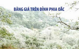 Băng giá tuyệt đẹp trên đỉnh núi Phia Oắc cao gần 2.000 mét Băng giá tuyệt đẹp trên đỉnh núi Phia Oắc cao gần 2.000 mét