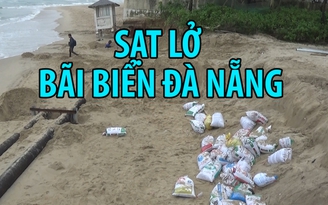 Sạt lở kinh hoàng hàng trăm mét ở bãi biển Đà Nẵng