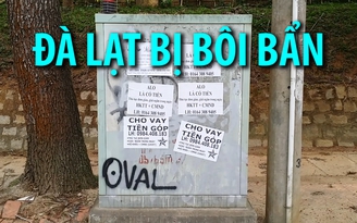 Đà Lạt thơ mộng đang bị bôi bẩn vì rác quảng cáo