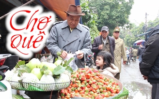 “Thượng vàng hạ cám” ở phiên chợ quê trong lòng đô thị Hải Phòng
