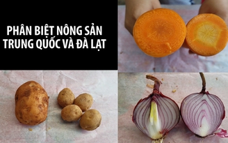 Phân biệt nông sản Trung Quốc và Đà Lạt bằng mắt thường