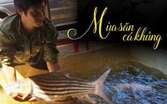 Theo thợ câu đi săn cá “khủng” trên sông Sê San