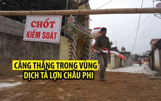 Căng thẳng trong vùng dịch tả lợn châu Phi thứ hai ở Thanh Hóa