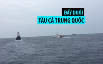 Kiểm ngư Việt Nam đẩy đuổi tàu cá Trung Quốc hoạt động trái phép