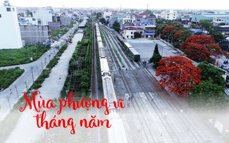 FLYCAM | Ngắm phượng đỏ nở rực cạnh đường sắt đẹp nhất Hải Phòng