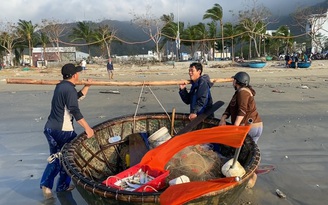 Ngư dân dong thuyền thúng ra khơi “hái lộc biển” sau bão số 13